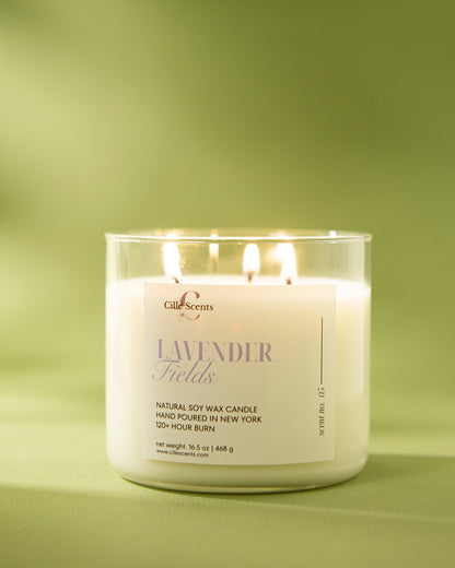 Lavender Fields